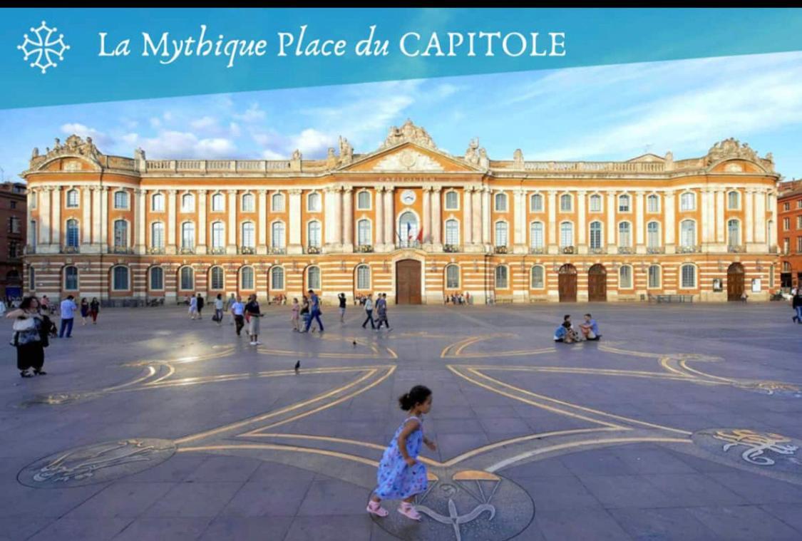 L Oasis Studio Proche Hopital Et Aeroport Piscine Parking &Netflix Toulouse Dış mekan fotoğraf