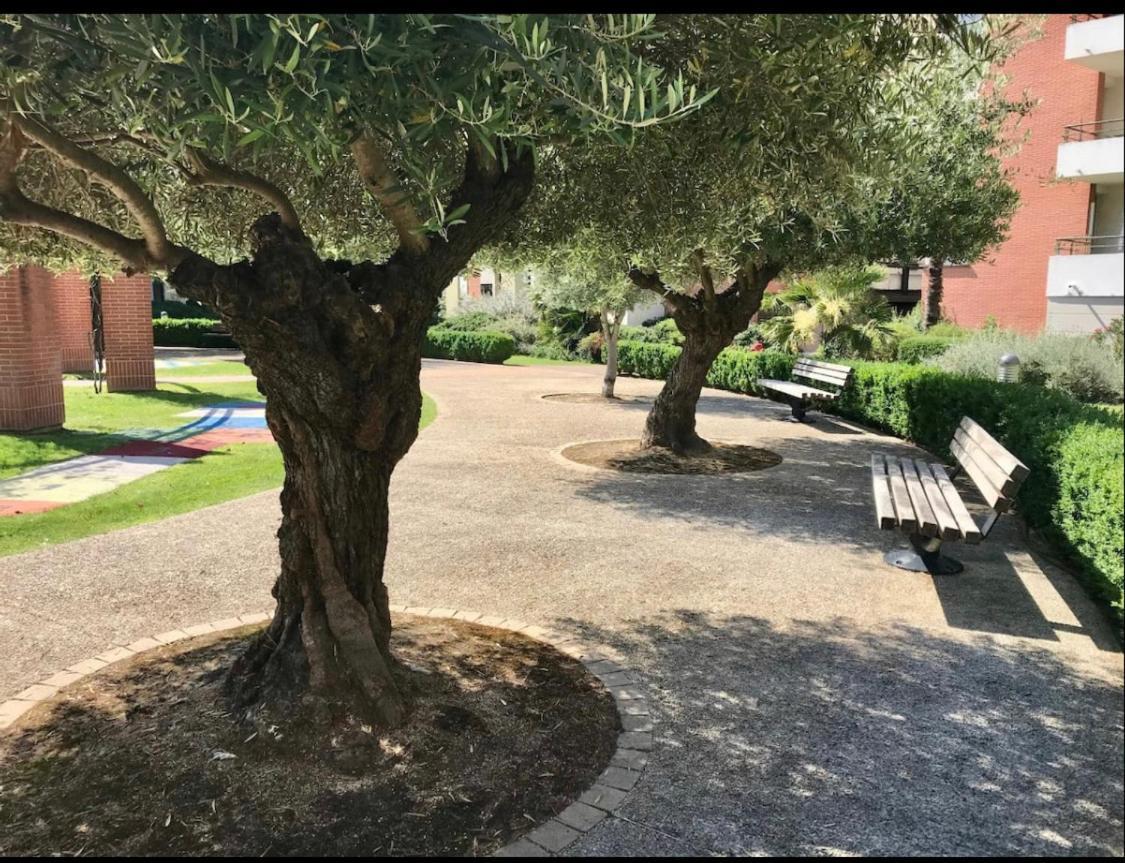 L Oasis Studio Proche Hopital Et Aeroport Piscine Parking &Netflix Toulouse Dış mekan fotoğraf